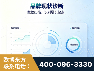 邵东-品牌现状诊断