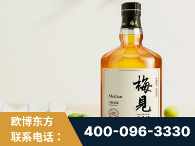邵东-梅见青梅酒